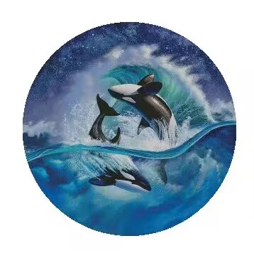 สวยเย็บปลาวาฬชุด 18CT 16CT 14C - Embroidery Whale บทวิจารณ์และราคา
